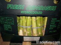 Asparagus