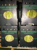 Asparagus In Boxes