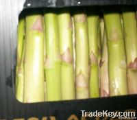 Fresh Green Asparagus