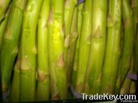 Fresh Green Asparagus