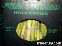 Fresh Green Asparagus