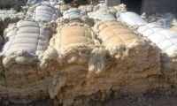 Wool