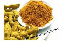 turmeric powder / skype:feiergoodluck1