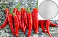 Factory Supply 95% Natural Capsaicin / skype:feiergoodluck1