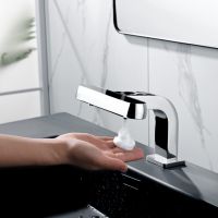 toilet two in one faucet and induction soap