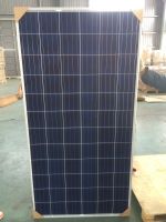 EVR Solar Poly 310W