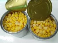 Canned Sweet Corn