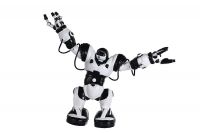 intellignet science toy rc robot toy