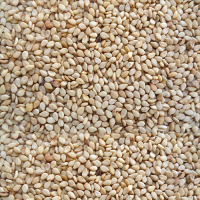 Sesame Seeds