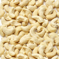 Cashew Nut