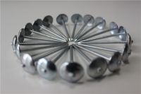 Galvanized Roofing Nail  with Twisted/Plain Shank with Washer