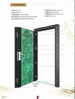 Steel Door(Enamel Surface Scene