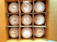 Thai Young Coconut