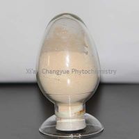 American Ginseng Extract