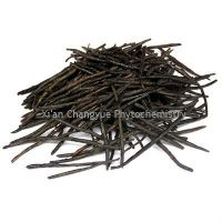 Kuding tea extract