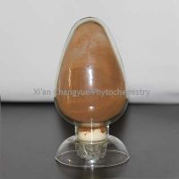 corn silk extract on promotation