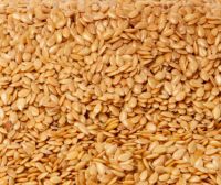 Linseed/Flaxseed golden