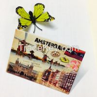 Tinplate fridge magnets From China