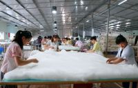 Raw silk ,silk fabric and silk quilt From China