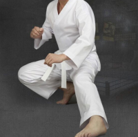 Karate products/karate uniform/karate protector