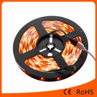 5050 Rgbled Flexible Strip Light 30led/m Waterproof Led Light Strip For Chrismas Lighting