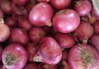 Red Onion