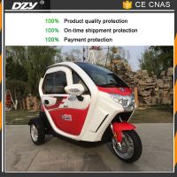 mini disabled tuk tuk rickshaw electric trike for sale From China