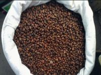 Siberian Premium Pine nuts