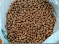 Chickpeas