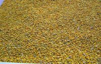 Bee pollen