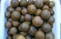 Propolis