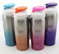 Stainless Steel Sport Bottle