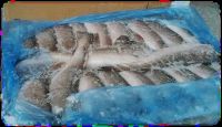 Horse Mackerel, Hake, Cod, Snoek, Angelfish, Ribbonfish, East Coast Sole, Pilchards, Kingklip, Pink Prawns, Monk fish, Oysters &amp; Mussels.&Acirc;&nbsp;&Acirc;&nbsp; 