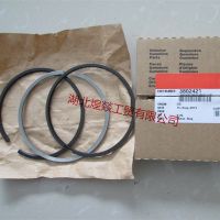 3802421 Piston Ring Made In China