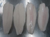 Frozen Pangasius