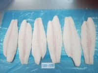 Frozen Pangasius