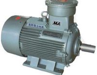YB2 Flame Proof Electric Motor