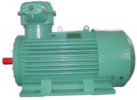 High Voltage Flameproof Electric Motor