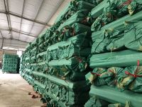 PVC colours coated wooden broom handle From Vietnam