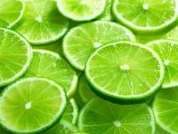 Reasonable Price - High Quality Fresh Seedless Lime