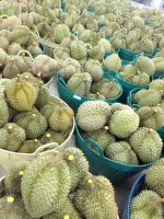 FRESH DURIAN 