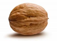 &ETH;&Ntilde;&ETH;&micro;&Ntilde;&ETH;&ordm;&ETH;&cedil;&ETH;&sup1; &ETH;&frac34;&Ntilde;&ETH;&micro;&Ntilde; (walnut)