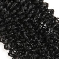 Natural Black Brazilian Kinky Curly Virgin Human Hair Weaves