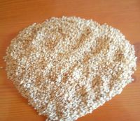 SESAME SEEDS