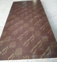 Best Quality Film Faced Plywood With The Lowest Price In China