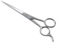 Barber Scissors 