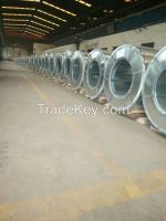 Glavanized steel coil