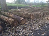 German poplar round logs