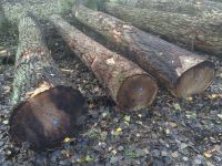 German Poplar Round Logs