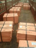 Electrolytic  Copper Cathode for sale /High Grade 99.99%   Copper Sheet &Atilde;&iuml;&iquest;&frac12;&Atilde;&macr;&Acirc;&iquest;&Acirc;&frac12;&Atilde;&iuml;&iquest;&frac12;&Atilde;&Acirc;&macr;&Atilde;&iuml;&iquest;&frac12;&Atilde;&macr;&Acirc;&iq